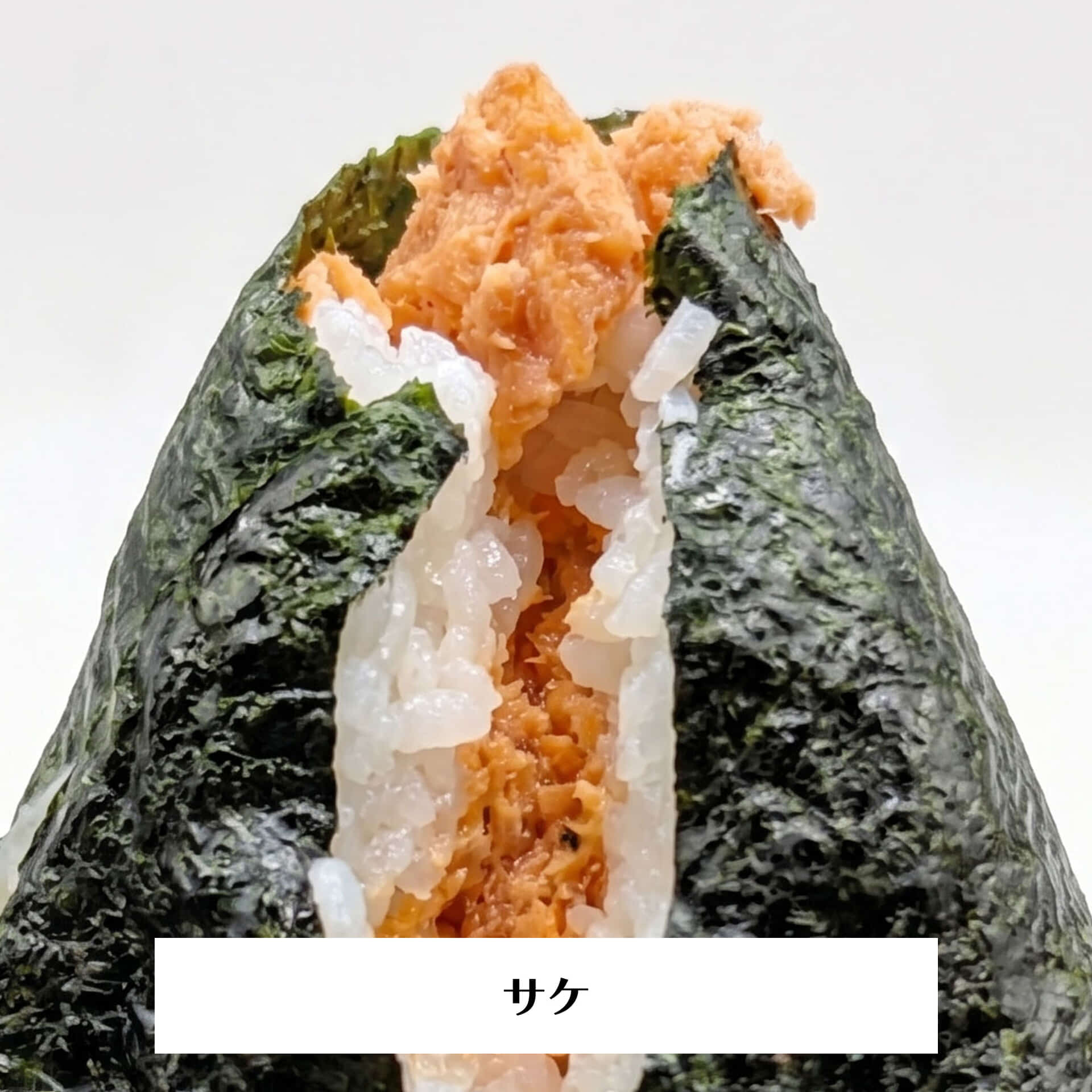サケオープン_re